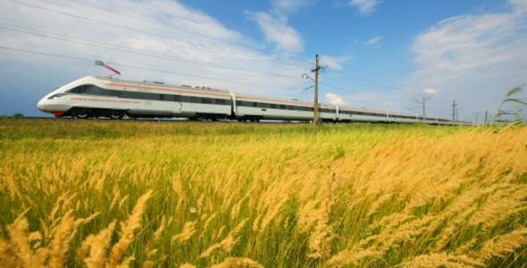 Закупівлі на державному рівні